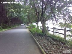 -大湾区中央湿地公园