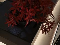-名岛家宴(鸿翔路店)