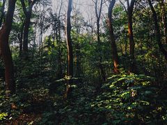 -杭州植物园