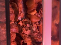 -二王核桃肉