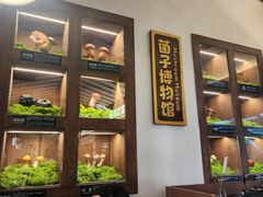 -菌自由丨野生菌火锅特色庭院餐厅(丽江古城店)