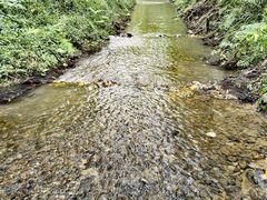 -桤木河湿地公园