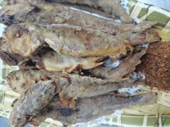 -小俩口烧烤东北菜(双井店)