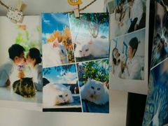android_upload_pic-Anne猫窝咖啡屋