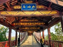 -长广溪湿地公园
