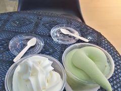 -萨朗刀克冰淇淋雪花凉(植物园店)