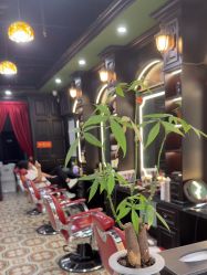 -豪帅男士理容馆