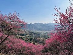 -溪口-滕头旅游景区