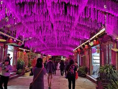 -婺源梦里老家大型山水实景演出