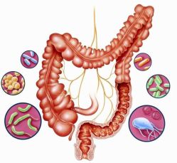 点击看大图 -薇薇安花系SPA