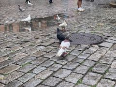 -哈尔滨犹太人活动旧址群(秋林洋行道里分行旧址)