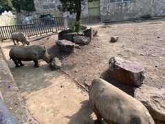-无锡动物园·太湖欢乐园