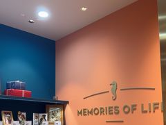 -海马体照相馆(新南凯德广场店)