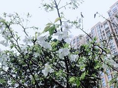 -永旺梦乐城(金银潭店)