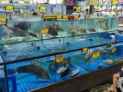 水产区-绿雅居原生态农庄(小涌店)