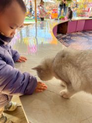 -萌宠亲子动物乐园(槐房万达店)