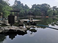 -水绘园
