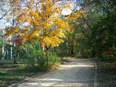 -长春市南湖公园