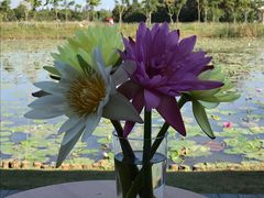 景点-上海长兴岛郊野公园