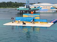 -秦皇岛乐岛海洋王国