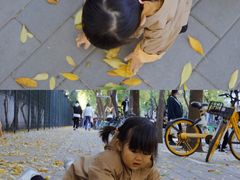-三里屯东五街银杏大道