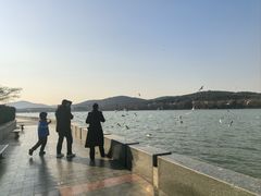 -水上明月·湖景餐厅