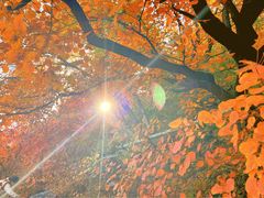 -周口店坡峰岭风景区