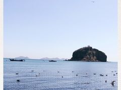 -棒棰岛宾馆景区