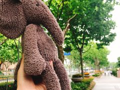 -上海大自然野生昆虫馆(东方明珠·爬宠昆虫探索中心)