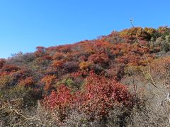 -北京西山国家森林公园