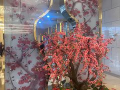 -中国宋庆龄青少年科技文化交流中心