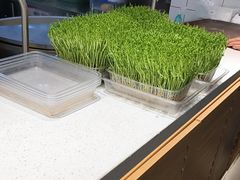 -好彩猪肚鸡(正弘城店)