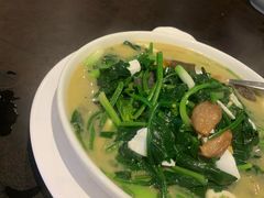 -食为先(Shark Fin)
