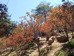 -广州市帽峰山景区
