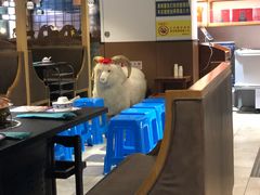 -羊肉街口老银川滩羊涮肉馆