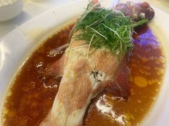 -新金盛·海鲜酒楼(盐田店)