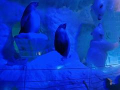 -汉庭（青岛台东步行街店）(原台东万达店)