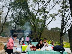 -铁山坪森林公园