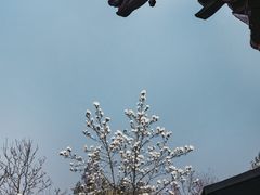 -钱王祠