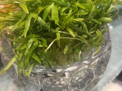 -草原传奇鲜羊火锅(桥北店)