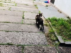 -小河无名面馆