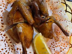 红烧乳鸽-一煲鸽