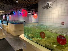 -日进一片海.生腌海鲜火锅.宵夜烧烤(三里屯总店)