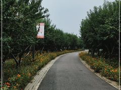 -东郊湿地公园