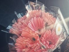 -秦美花卉(天朗·莱茵小城2期店)