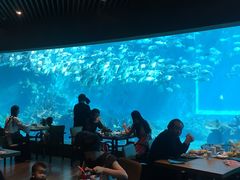 -海棠湾洲际-涛·海底餐厅·美人鱼·自助餐·海底隧道