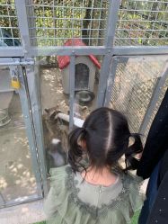 -萌宠亲子动物乐园(槐房万达店)