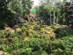 -绿光森林餐厅