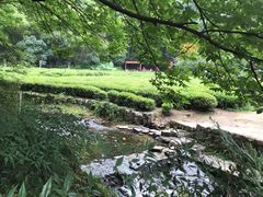 -杭州西湖风景名胜区-三生石