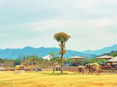 -杭州野生动物世界